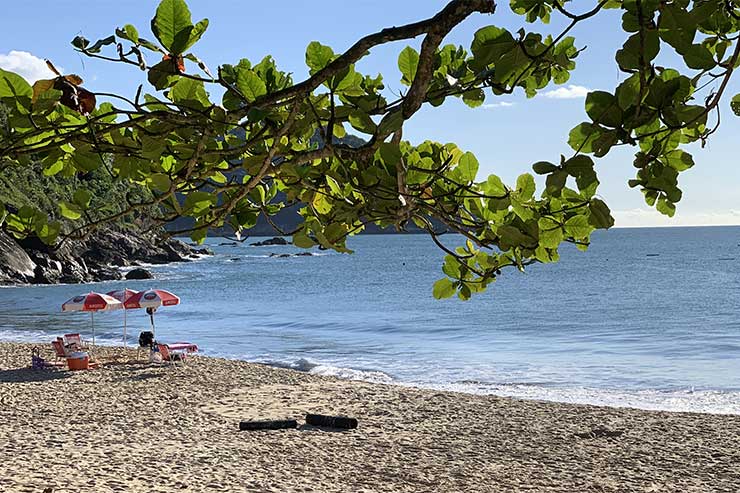 Cadeira de praia em frente ao mar