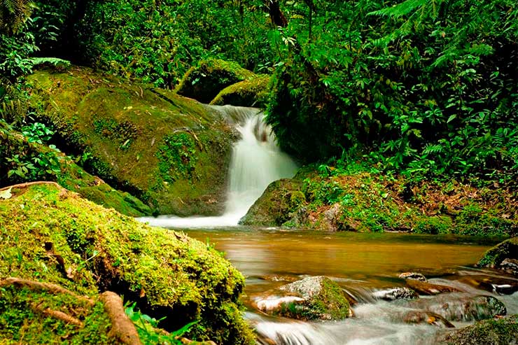 Queda d'água em meio a muito verde do Poço da Areia