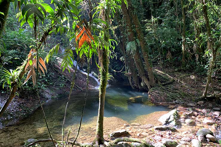 Cachoeira do Vale do Alcantilado, em Visconde de Mauá, com árvores e pedras ao redor