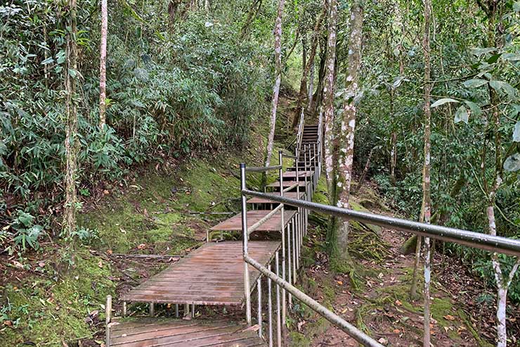Estrutura com escadas e corrimão nas trilhas do Vale do Alcantilado em Visconde de Mauá
