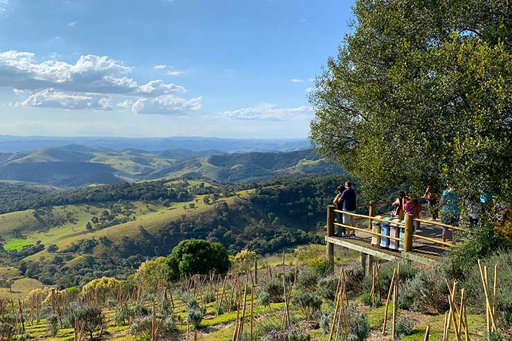 Pessoas no Mirante do Lavandário de Cunha, no interior de São Paulo, com plantações de lavanda e vista das montanhas