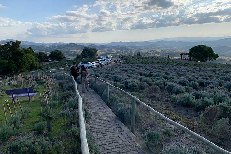 Rampa que dá acesso às plantações de lavanda, verbena e alecrim no Lavandário de Cunha