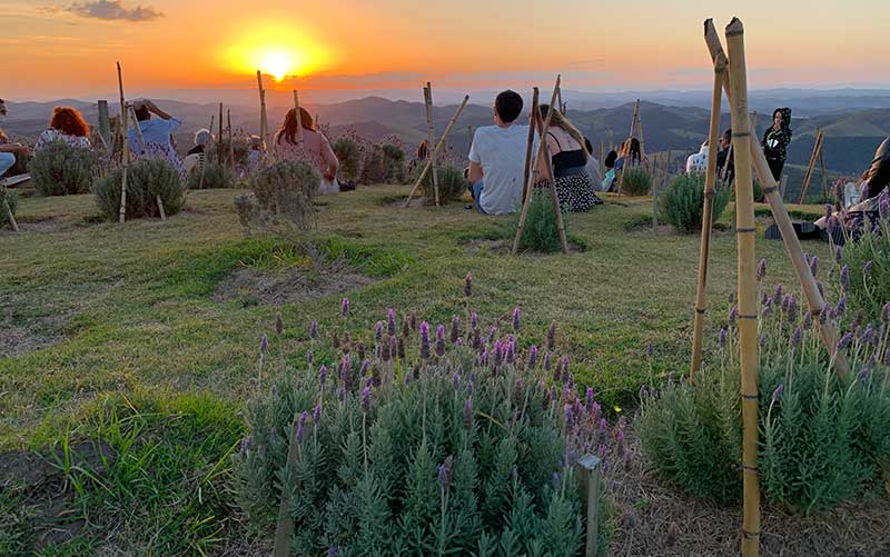 Pessoas sentadas entre as plantações para ver o pôr do sol