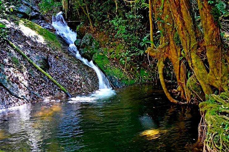 Queda d'água do Poço das Raízes em meio a pedras e verde no Vale do Alcantilado