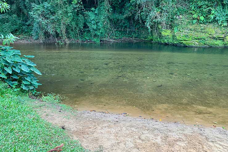 Prainha no centro de Visconde de Mauá com rio de água cristalina e árvores