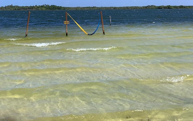 Rede de balanço na Lagoa da Cotia