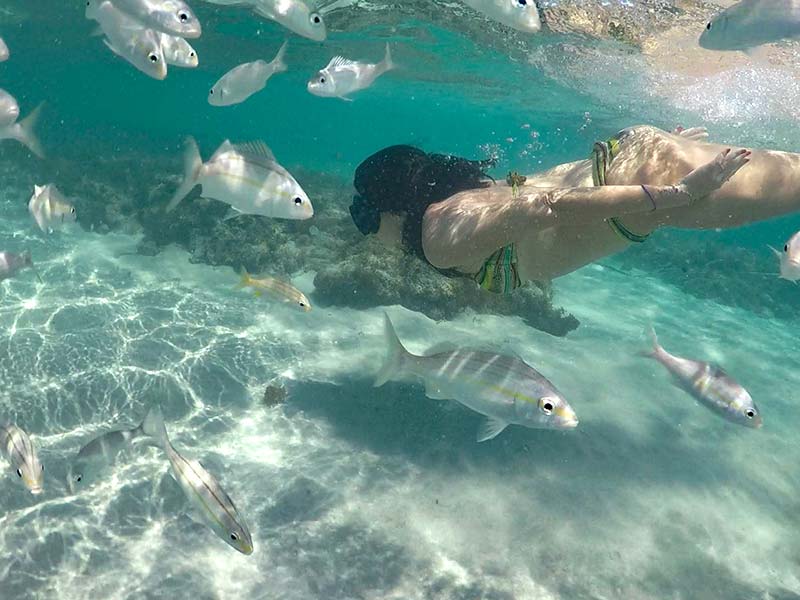 Mulher mergulhando com peixes nos Parrachos de Rio do Fogo ou Parrachos de Perobas