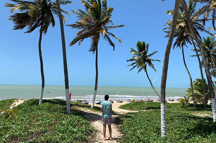 Coqueiros da Praia de Zumbi, em Rio do Fogo, RN