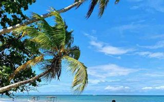 cropped-story_boipeba1.jpg