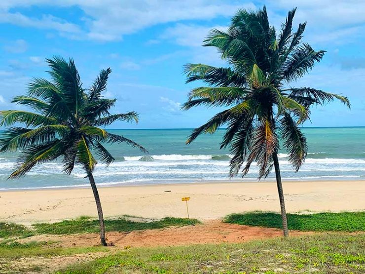 Coqueiros e vista da areia e do mar da Praia das Minas, uma das melhores praias de Pipa