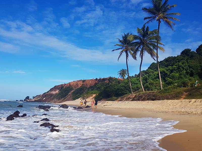 Faixa de areia com água do mar e coqueiros, com Chapadão ao fundo