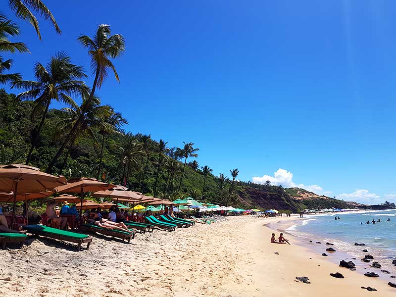 Espreguiçadeiras, guarda-sol e coqueiros em frente ao mar