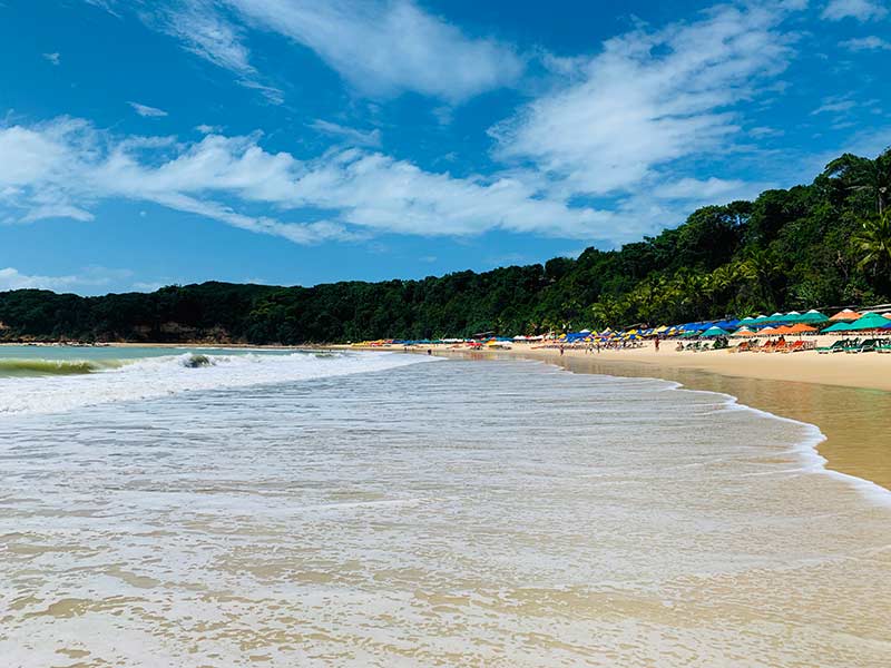 Mar e barracas de praia num dia de céu azul na Praia do Madeiro, uma das melhores praias de Pipa