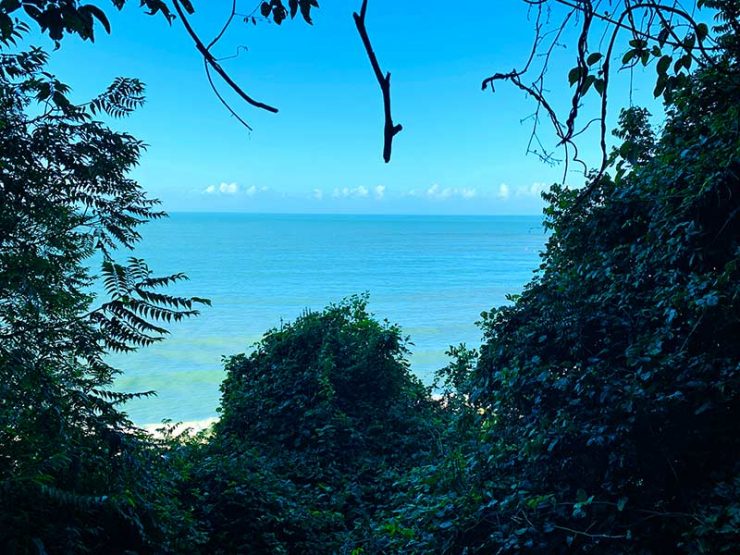 Vista da praia com árvores a partir da escadaria da Praia do Madeiro