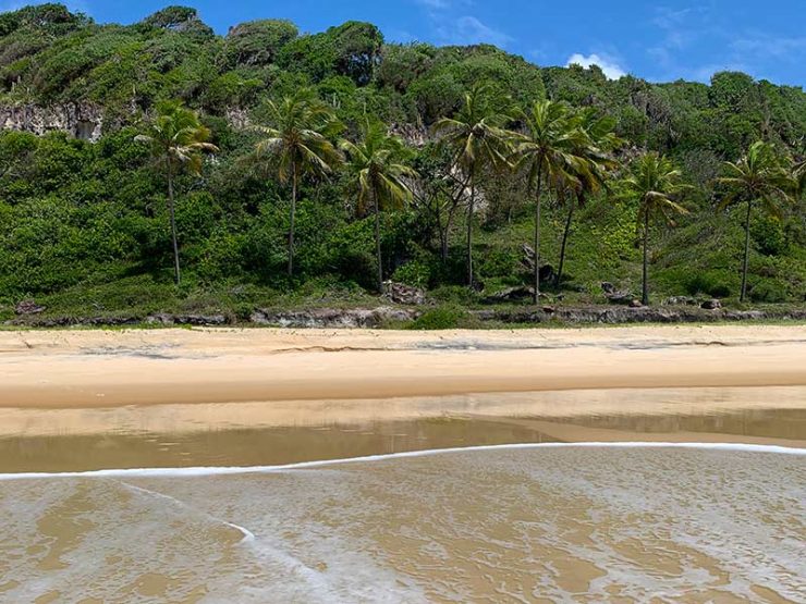 Mar e vegetação na região de Pipa no Rio Grande do Norte