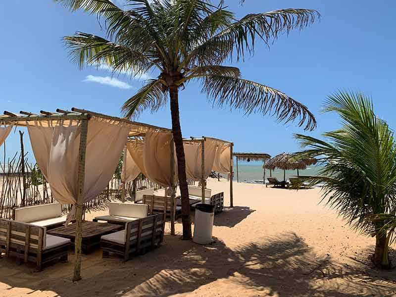 Cabanas vazias com árvores e mar à frente no beach club Idílico, em São Miguel do Gostoso