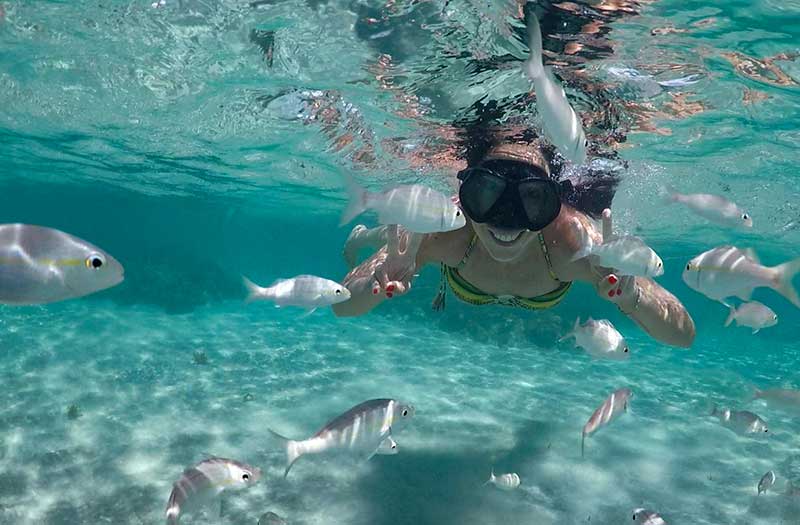 Mulher nada entre peixes no Parracho de Perobas