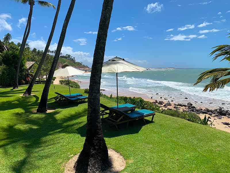 Jardim da Ponta do Pirambu com guarda-sóis e vista do mar perto da Praia de Pipa