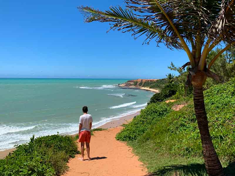 Homem caminha em cima de falésia ao lado de árvore com vista para o mar da Praia do Amor