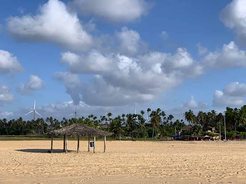 Longa faixa de areia vazia com árvores e energia eólica ao fundo na Praia do Cardeiro