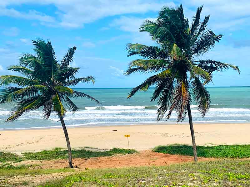 Coqueiros, grama, areia e mar da Praia das Minas