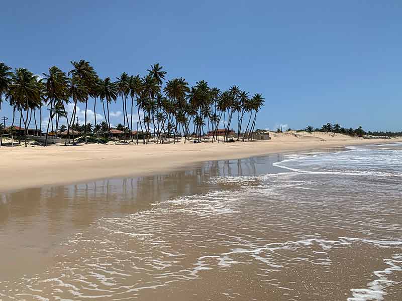 Vista da praia com árvores direto de mar vazio na praia de Zumbi