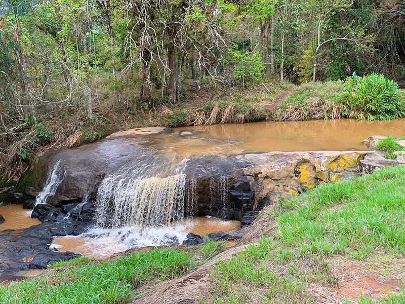 Água com barro em meio a uma área verde na Cachoeira dos Henriques