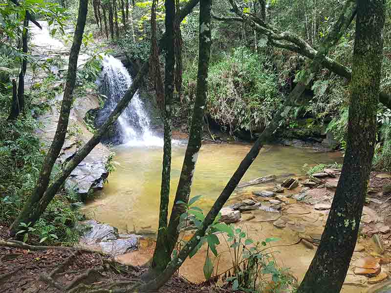 Cachoeira com queda d'água em meio à mata fechada