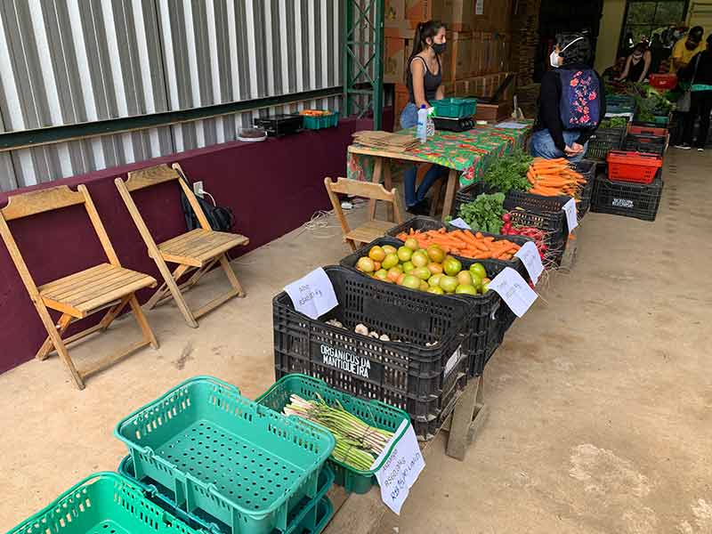 Frutas e legumes em caixas na Feira de Orgânicos de Gonçalves