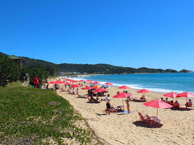 Guarda-sóis na areia em dia de céu azul na praia de Estaleiro, em Balneário Camboriú