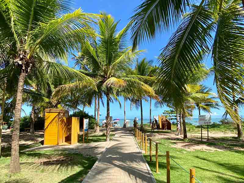 Caminho para o mar na Praia do Patacho, uma Praia com Bandeira Azul em Alagoas