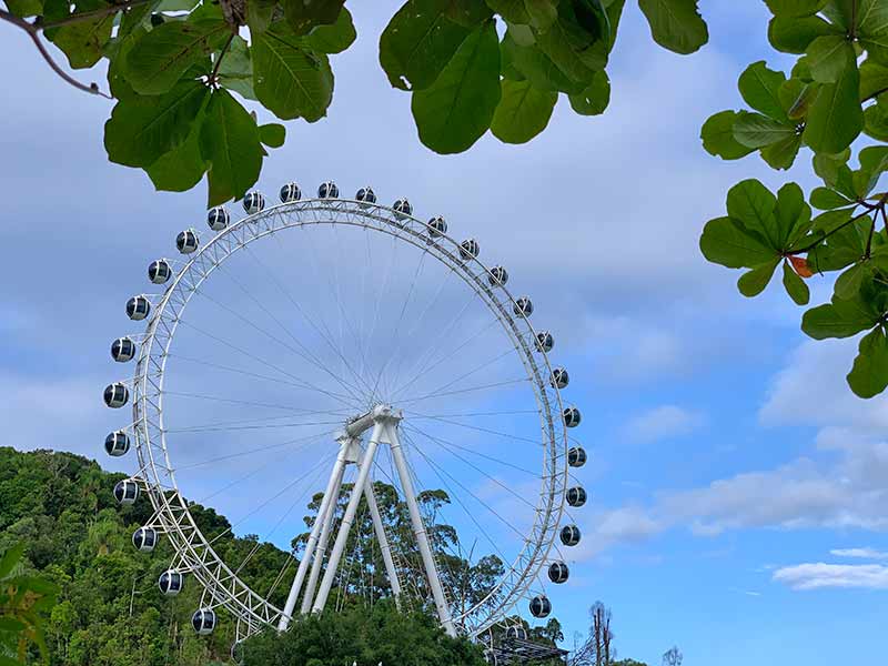 Roda Gigante, FG Big Wheel, com árvore em dia de céu com algumas nuvens