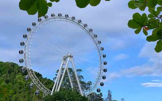 Roda Gigante de Balneário Camboriú vista através da praia com árvores ao redor