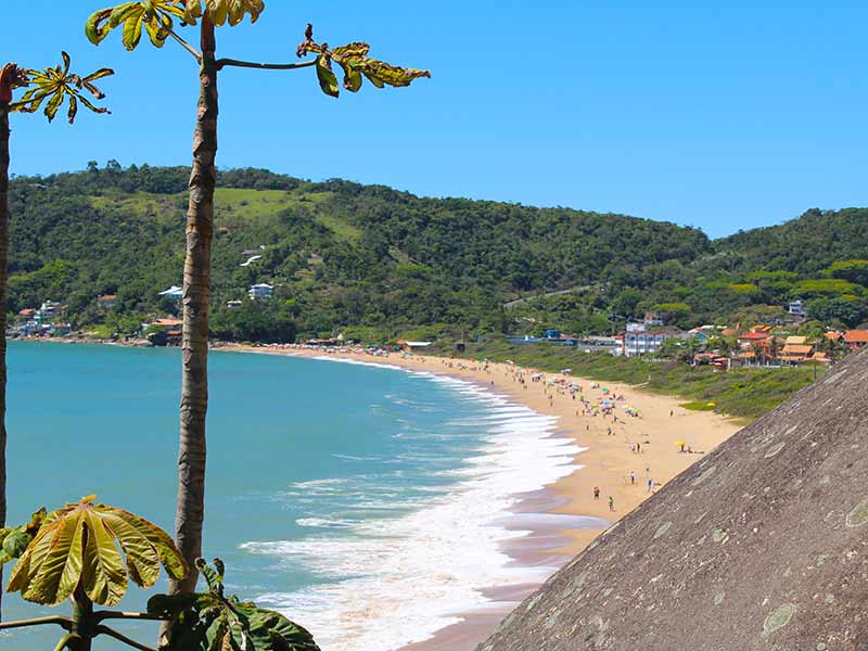 Vista do alto da praia de Taquaras com área verde e pessoas na areia