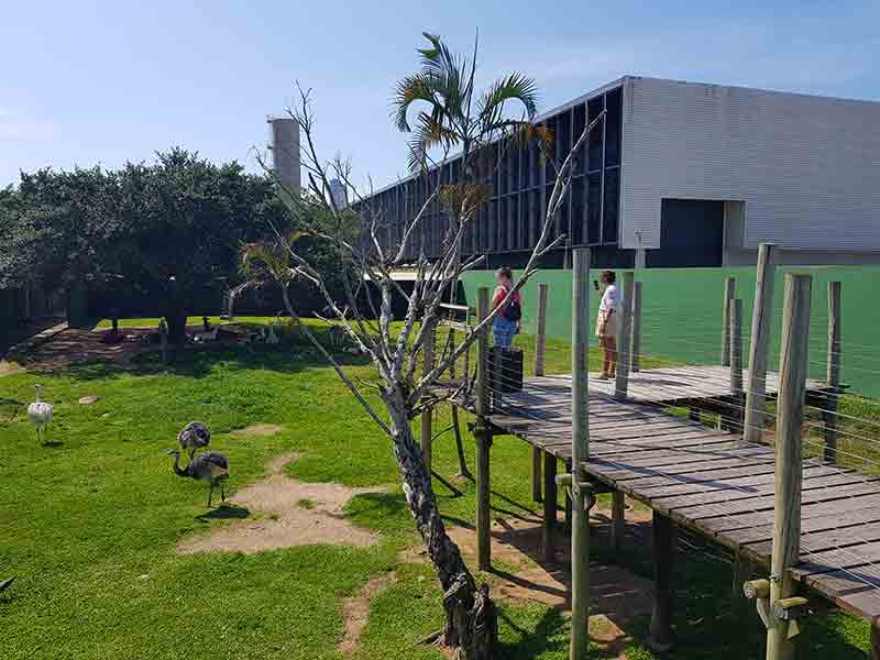 Pessoas passam por passarela ao lado de aves no zoológico de Balneário Camboriú