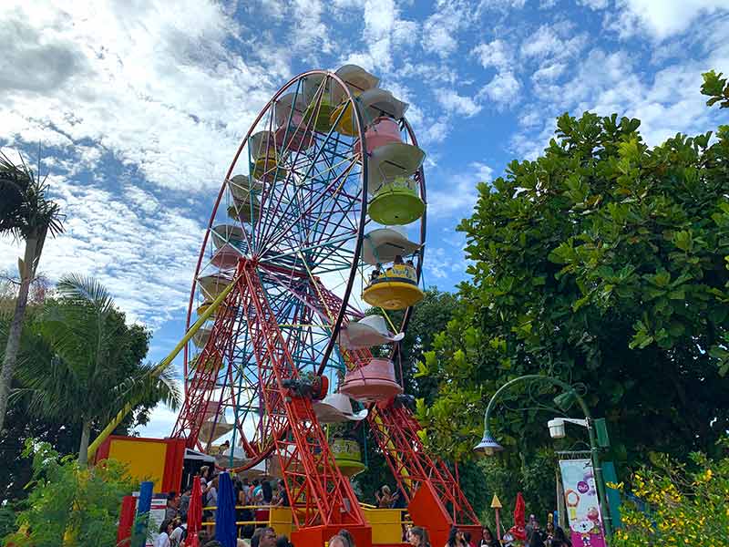 Roda Gigante em meio a árvores em dia de céu azul com algumas nuvens