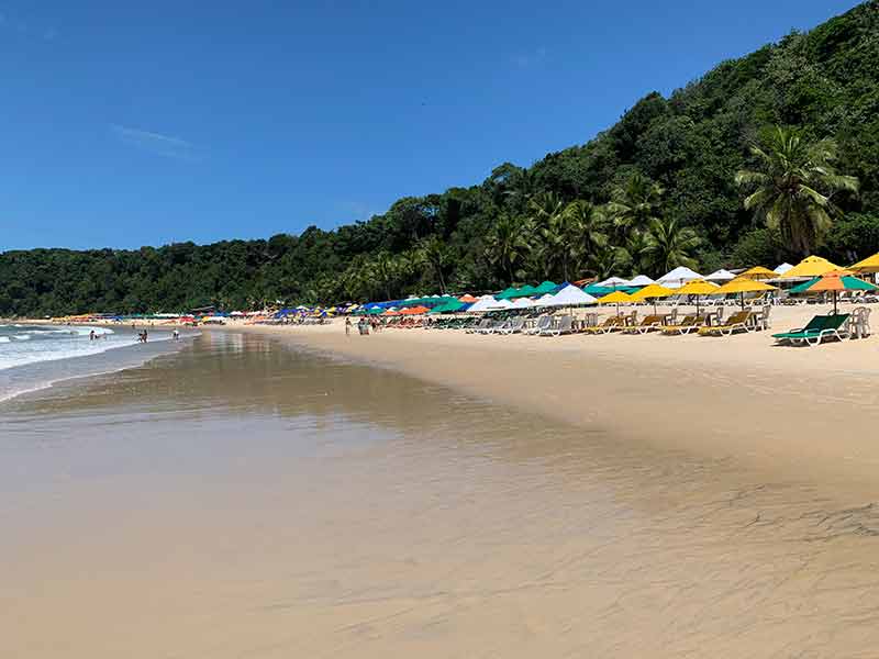 Barracas com guarda-sóis em dia de céu azul na Praia do Madeiro