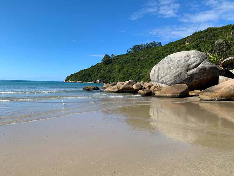 Ave no mar e praia vazia com pedra na Praia da Conceição, dica do que fazer em Bombinhas, SC