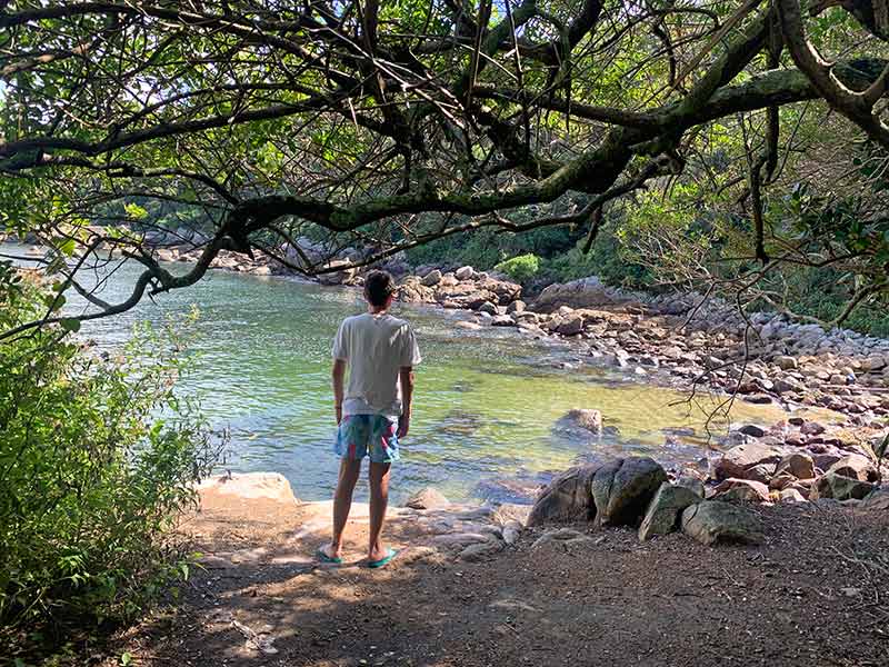 Homem observa a paisagem em meio a árvores na Ilha do Macuco