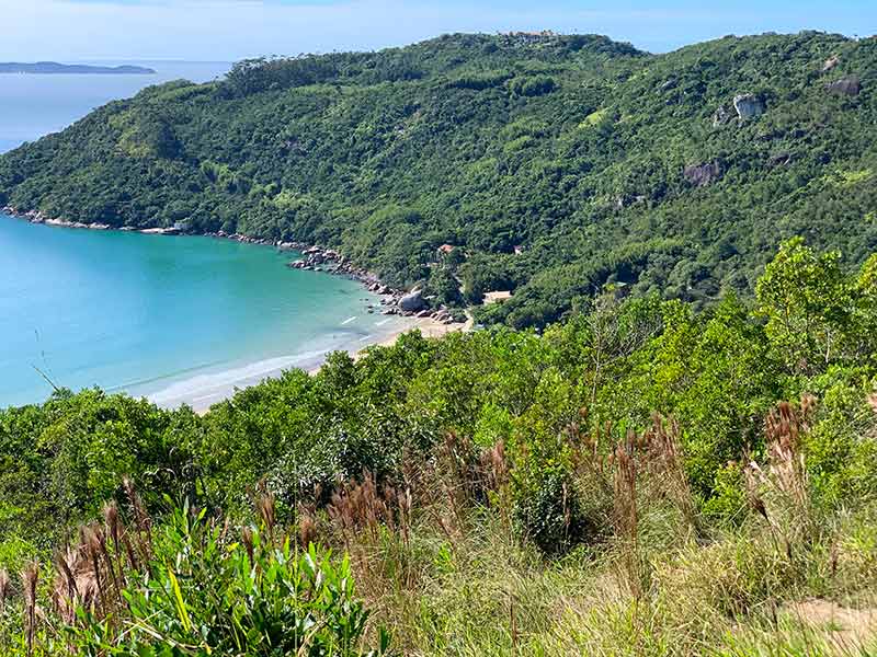 Mirante com praia e vegetação na trilha do Morro do Macaco, em Bombinhas, SC