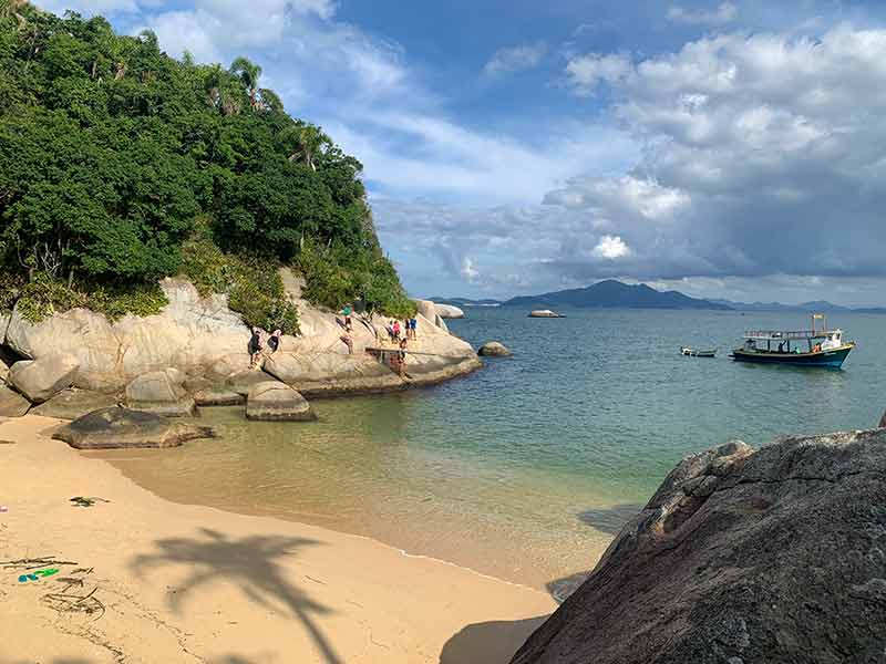 Praia do Cação vazia com mar claro e sombra de coqueiro na areia