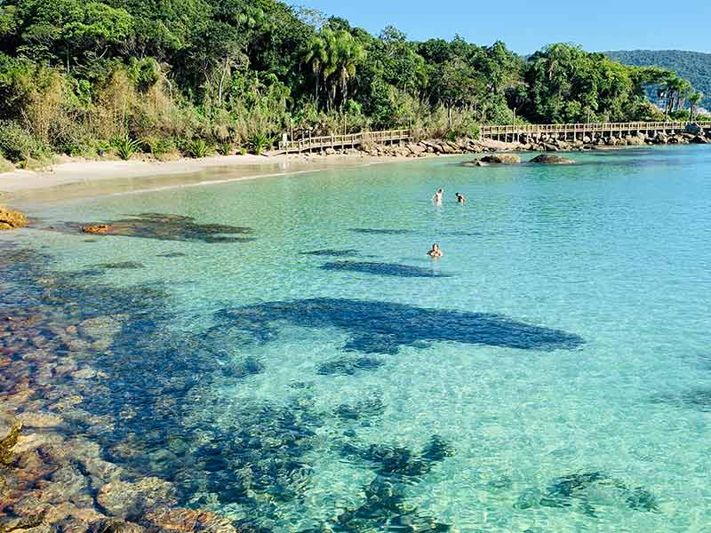 Pessoas se divertem no mar esverdeado e cristalino da Praia do Ribeiro, em Bombinhas, SC