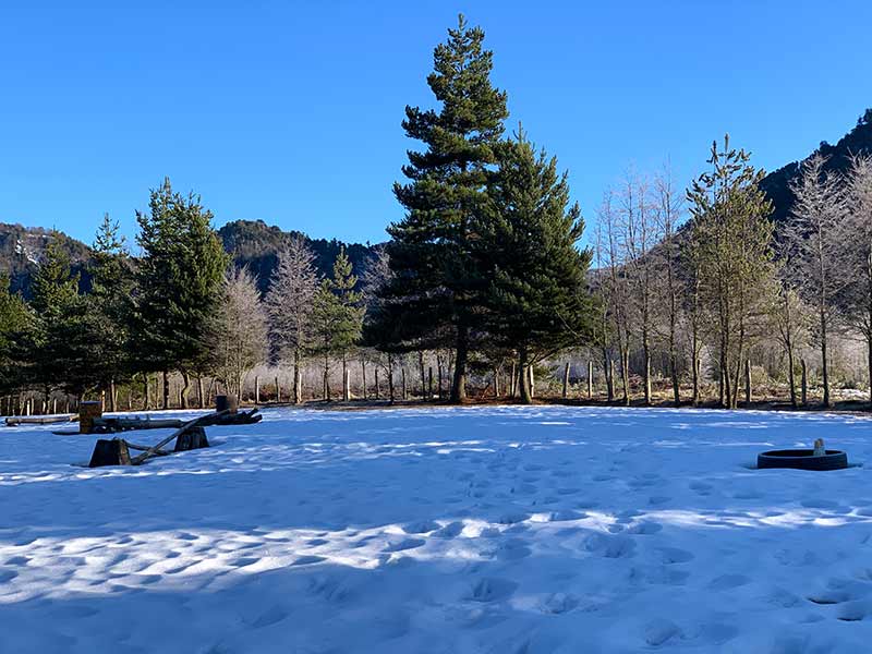 Área coberta por neve e árvore em dia de céu azul na região da Araucanía, no Chile