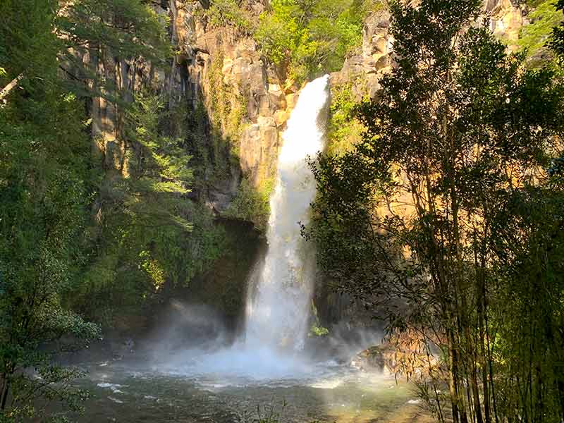 Queda d'água da cachoeira Salto de la Princesa com vegetação ao redor