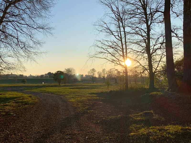 Pôr do sol em meio à natureza da Araucanía Andina