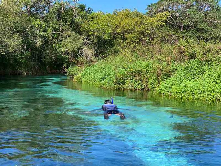 Pessoa faz flutuação no Rio Sucuri, um dos rios com a água mais cristalina do Brasil