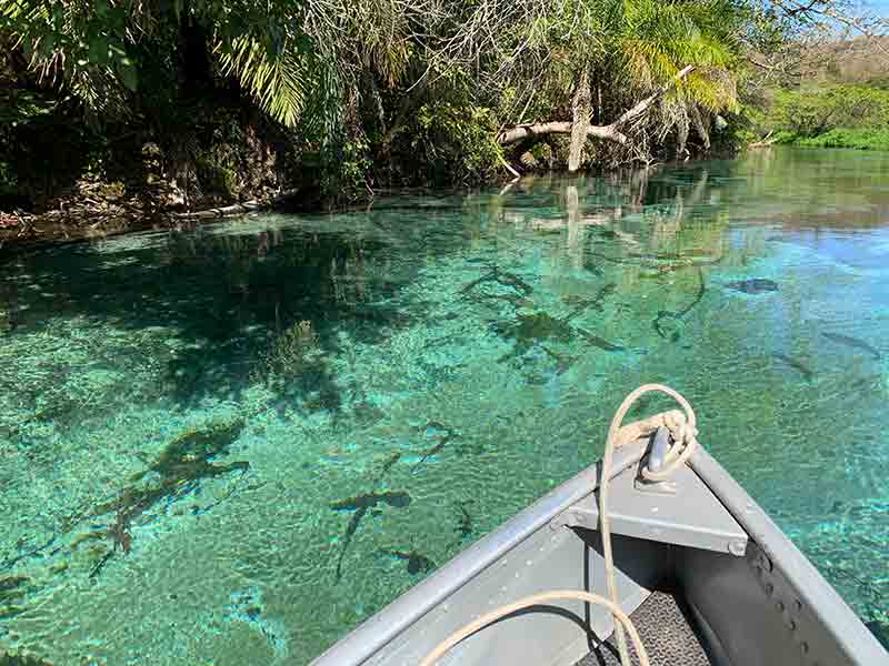 Barco nas águas cristalinas do Rio Sucuri, dica entre os passeios em Bonito, MS