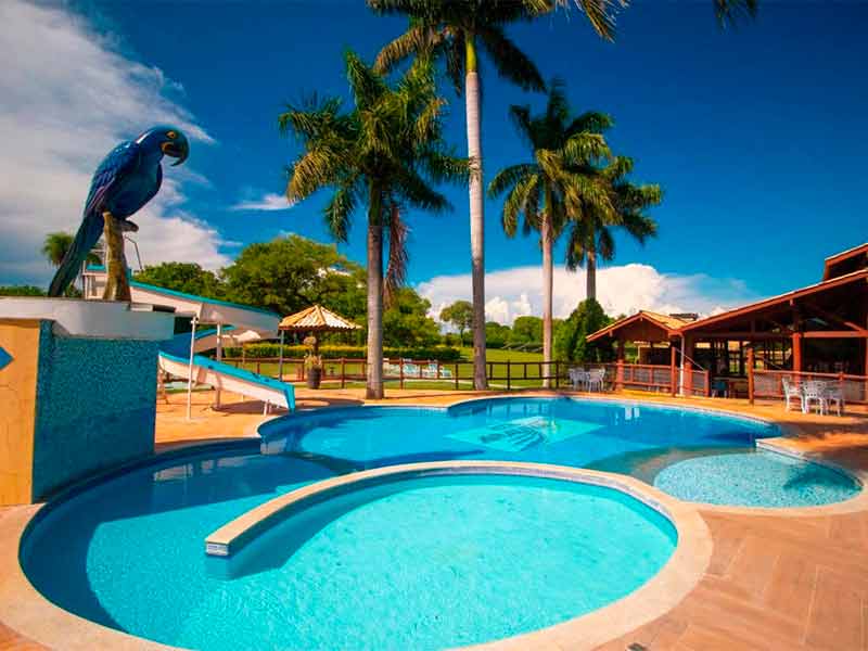 Área da piscina da Arauna com árvores em dia de céu azul