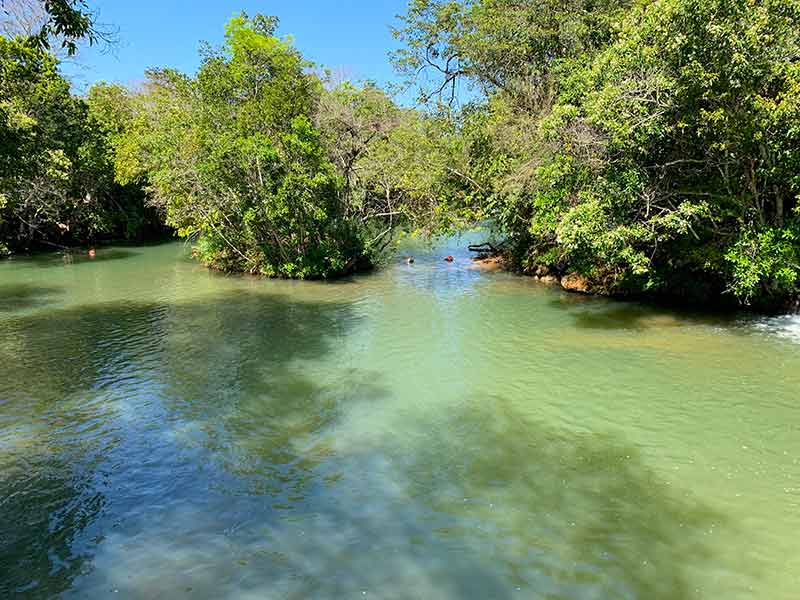 Rio esverdeado com algumas árvores e céu azul no Balneário do Sol, dica de passeio em Bonito, MS