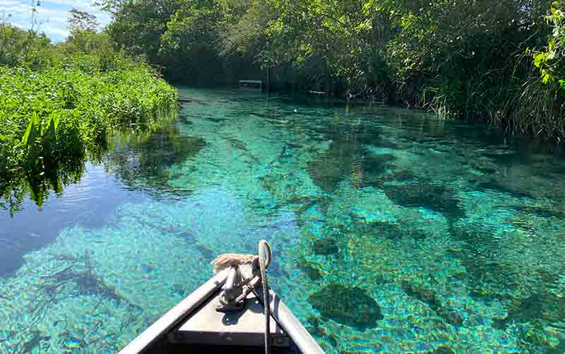 Barco passa pelas águas cristalinas do Rio Sucuri, um dos passeios em Bonito, MS